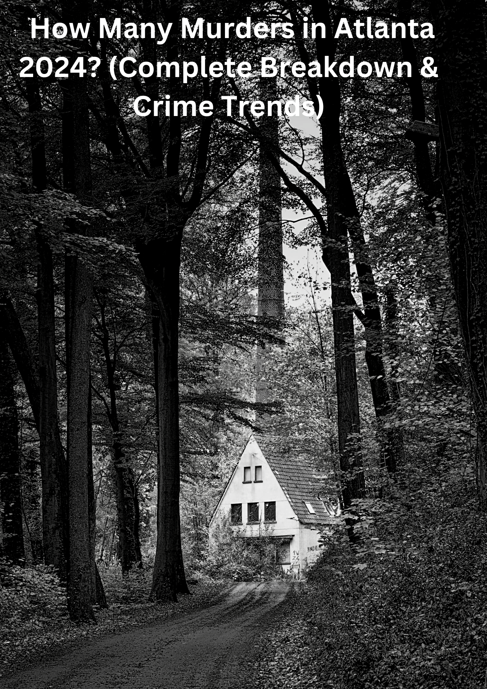 How Many Murders in Atlanta 2024 (Complete Breakdown & Crime Trends)